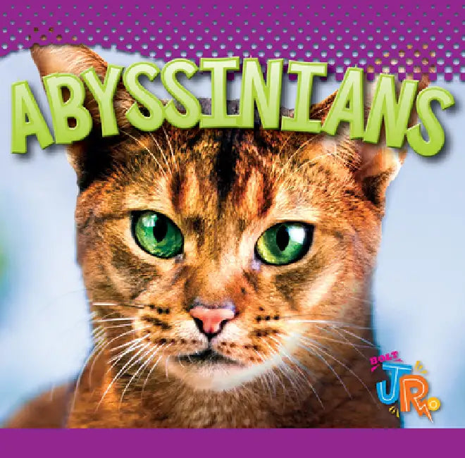 Abyssinians by Marysa Storm