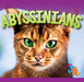 Abyssinians by Marysa Storm