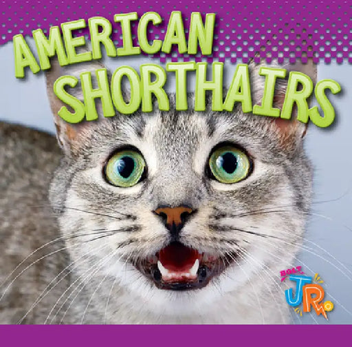 American Shorthairs by Marysa Storm