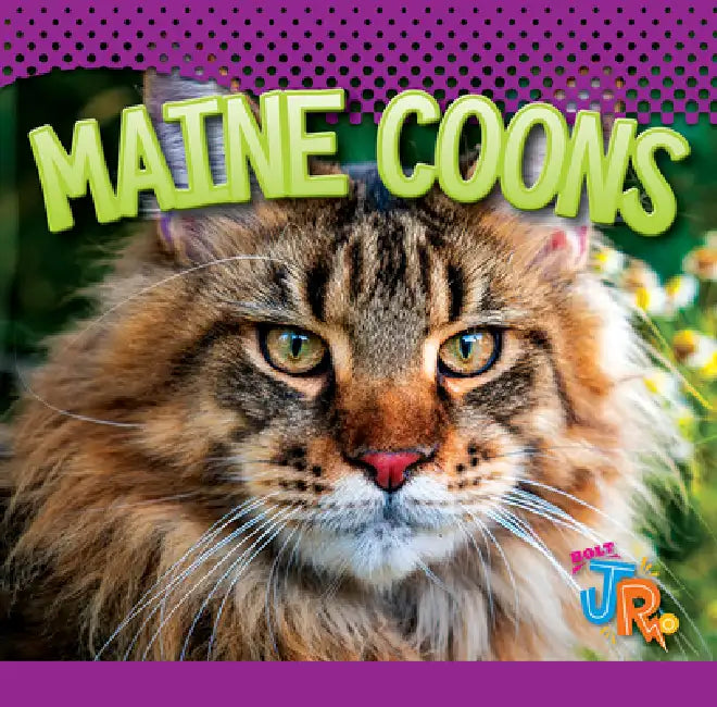Maine Coons by Marysa Storm