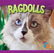 Ragdolls by Marysa Storm