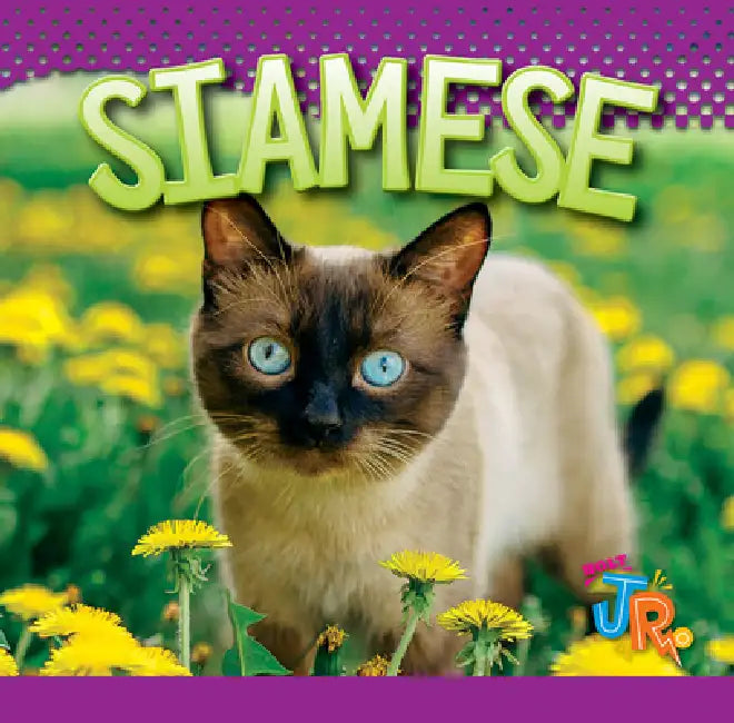 Siamese by Marysa Storm
