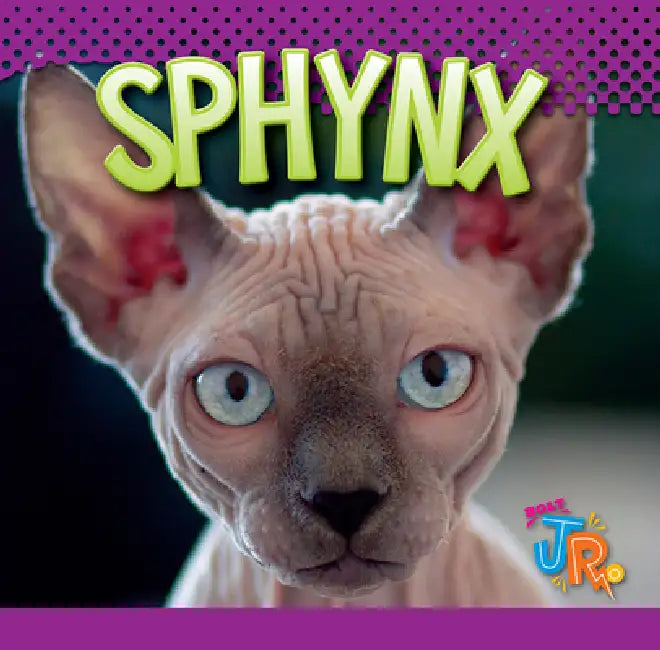 Sphynx by Marysa Storm