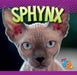 Sphynx by Marysa Storm