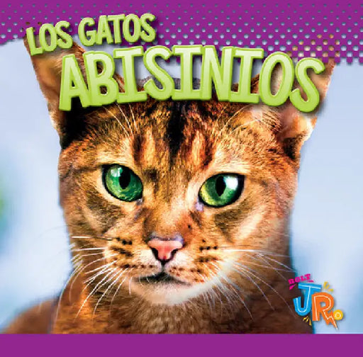 Los Gatos Abisinios by Marysa Storm