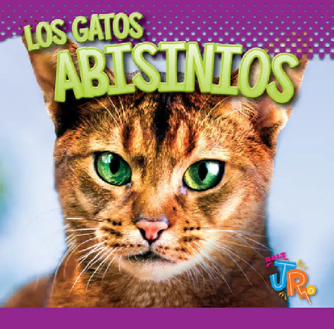 Los Gatos Abisinios by Marysa Storm