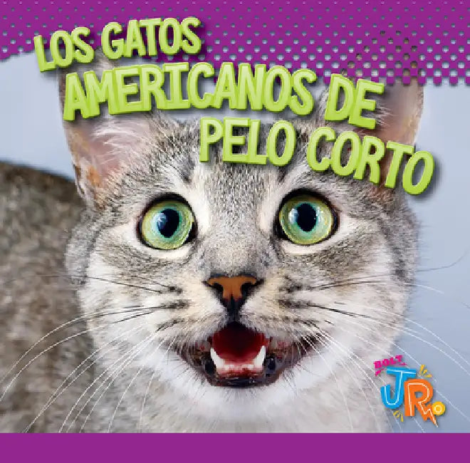 Los Gatos Americanos de Pelo Corto by Marysa Storm