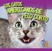 Los Gatos Americanos de Pelo Corto by Marysa Storm