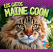 Los Gatos Maine Coon by Marysa Storm