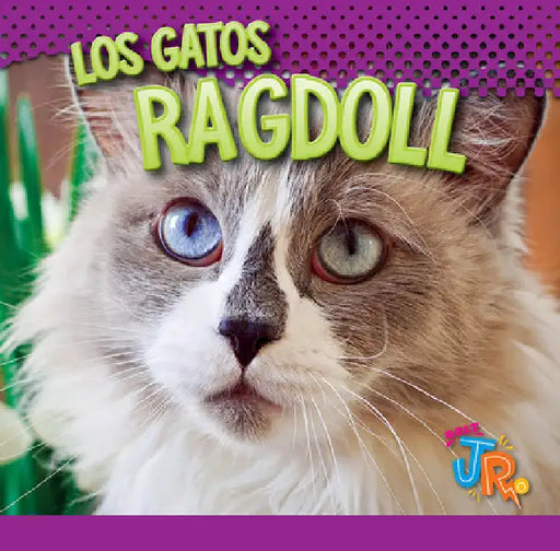 Los Gatos Ragdoll by Marysa Storm