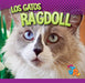 Los Gatos Ragdoll by Marysa Storm