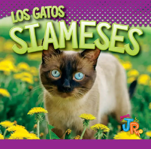Los Gatos Siameses by Marysa Storm
