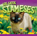 Los Gatos Siameses by Marysa Storm