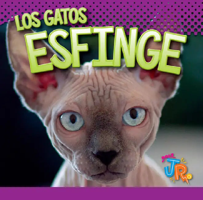 Los Gatos Esfinge by Marysa Storm