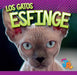 Los Gatos Esfinge by Marysa Storm