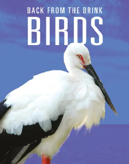 Birds: Back from the Brink by Mattern, Joanne