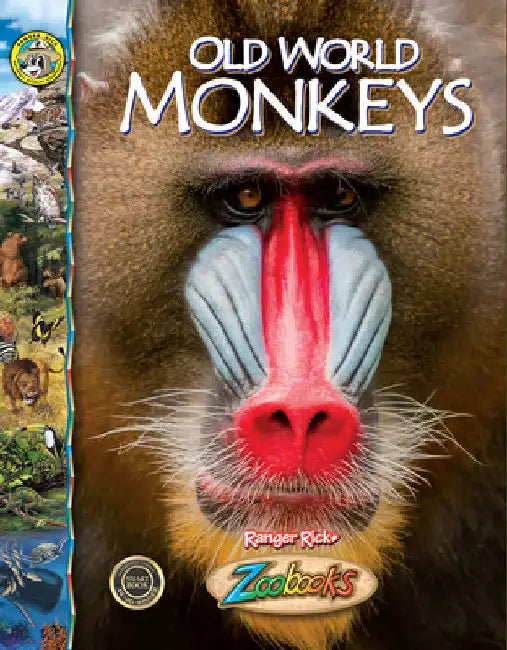 Old World Monkeys by Ann Elwood