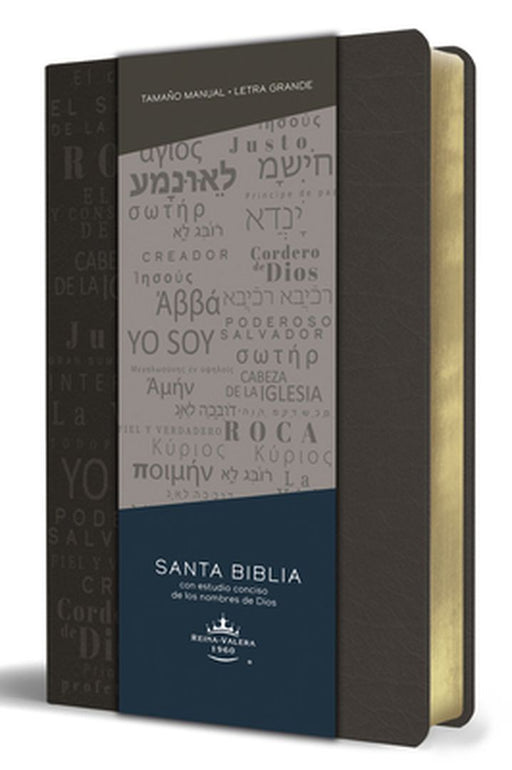 Biblia Rvr 1960 Letra Grande Tamaño Manual, Simil Piel Gris Con Nombres de Dios / Spanish Bible Rvr 1960 Handy Size Large Print Leathersoft Grey with by Reina Valera Revisada 1960