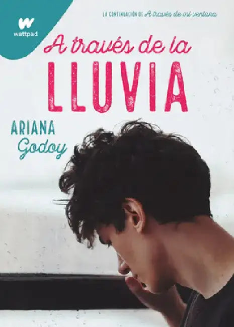 A Través de la Lluvia / Through the Rain by Ariana Godoy