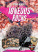 Igneous Rocks by Jenny Fretland Vanvoorst