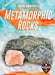Metamorphic Rocks by Jenny Fretland Vanvoorst
