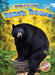 Black Bears by Al Albertson