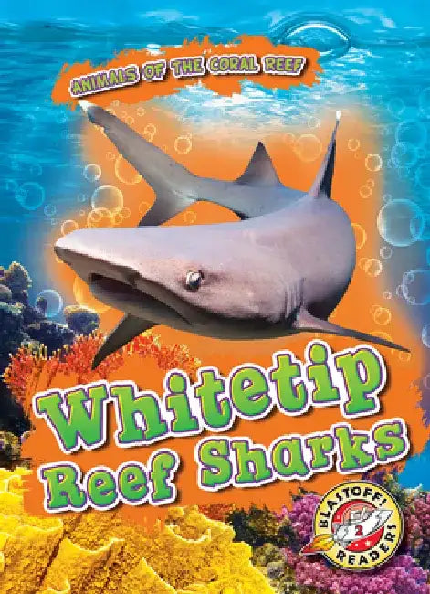Whitetip Reef Sharks by Lindsay Shaffer
