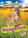 Kangaroos by Kaitlyn Duling