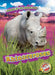 Rhinoceroses by Kaitlyn Duling