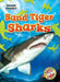 Sand Tiger Sharks by Thomas K. Adamson