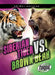 Siberian Tiger vs. Brown Bear by Nathan Sommer
