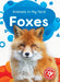 Foxes by Amy McDonald