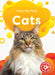 Cats by Christina Leaf