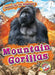 Mountain Gorillas by Kaitlyn Duling