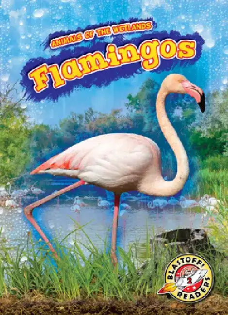 Flamingos by Karen Kenney