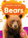 Bears by Amy McDonald