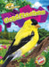 Goldfinches by Elizabeth Neuenfeldt
