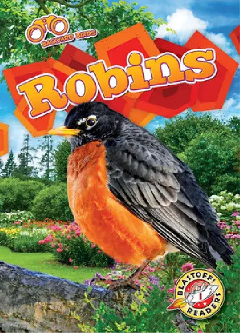 Robins by Elizabeth Neuenfeldt