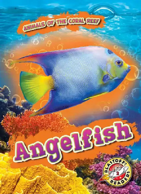 Angelfish by Kate Moening