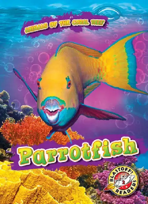 Parrotfish by Kate Moening