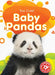 Baby Pandas by Betsy Rathburn