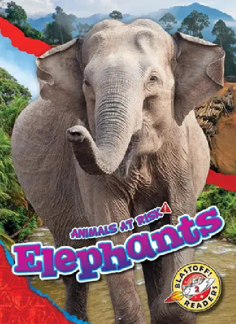 Elephants by Rachel Grack