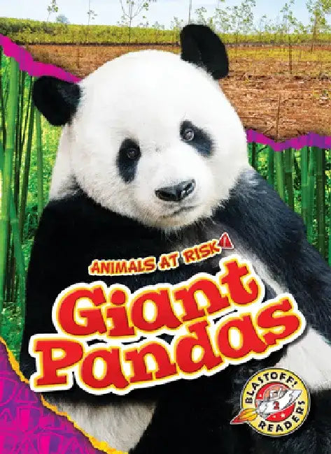 Giant Pandas by Rachel Grack