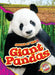 Giant Pandas by Rachel Grack