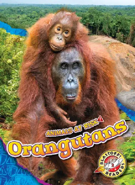 Orangutans by Rachel Grack