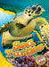Sea Turtles by Rachel Grack