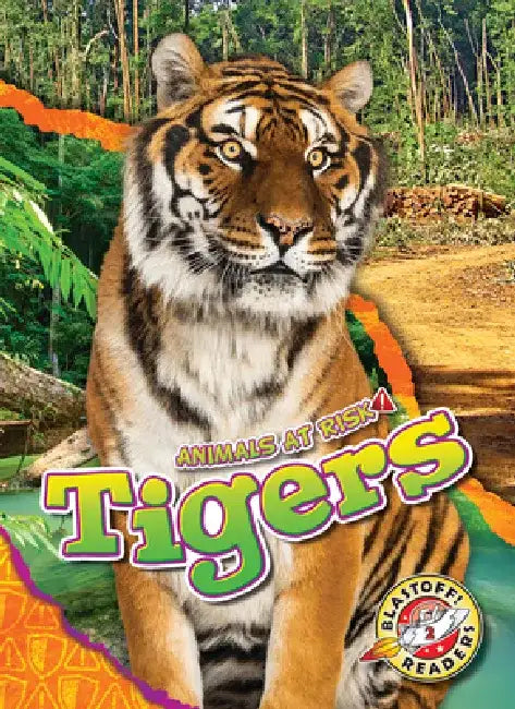 Tigers by Rachel Grack