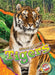 Tigers by Rachel Grack