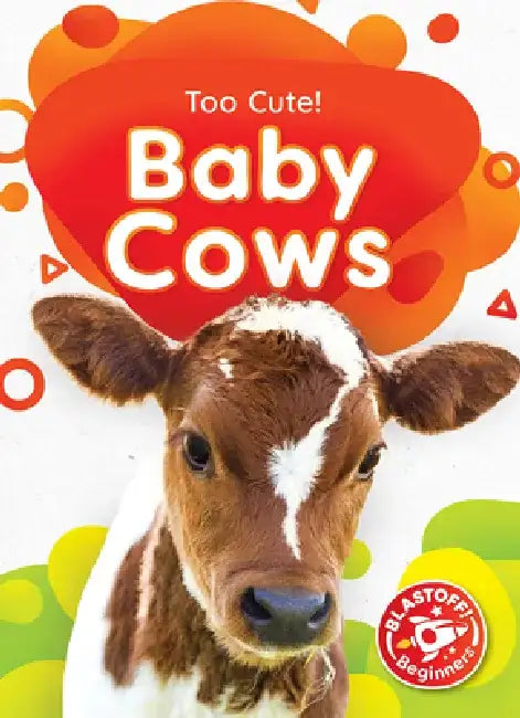 Baby Cows by Rachael Barnes