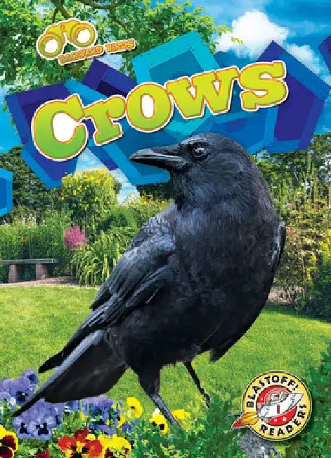 Crows by Rachael Barnes